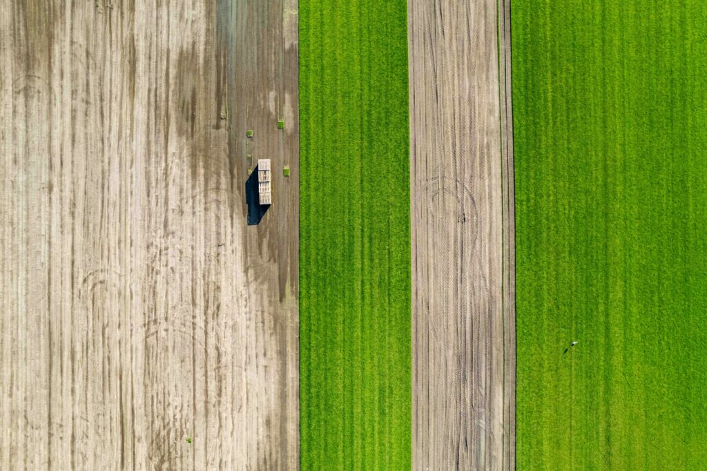 Hello World Featured Image